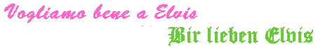[BIR LIEBEN ELVIS]